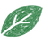 A simple green leaf graphic with a split design, symbolizing nature and sustainability.