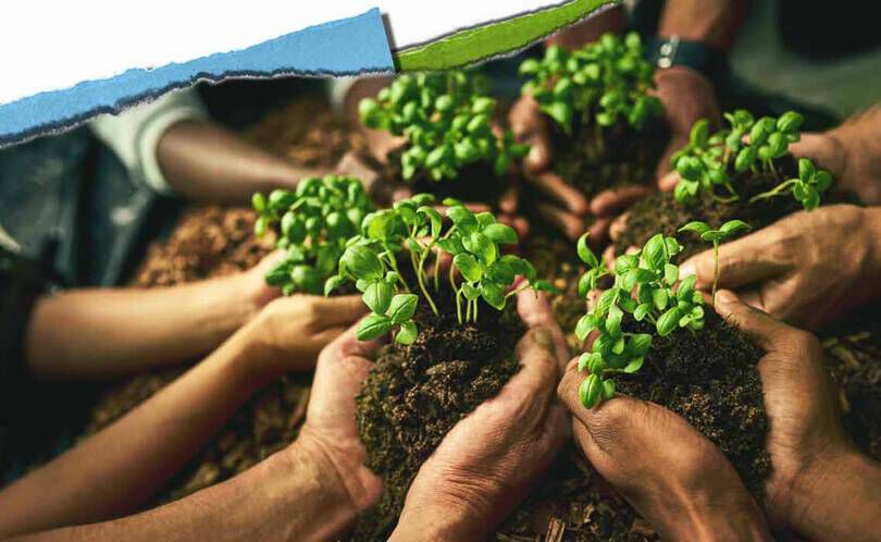 Olika hander håller små plantor i jord, vilket symboliserar samarbete i samhallet och ger naring åt tillvaxt.