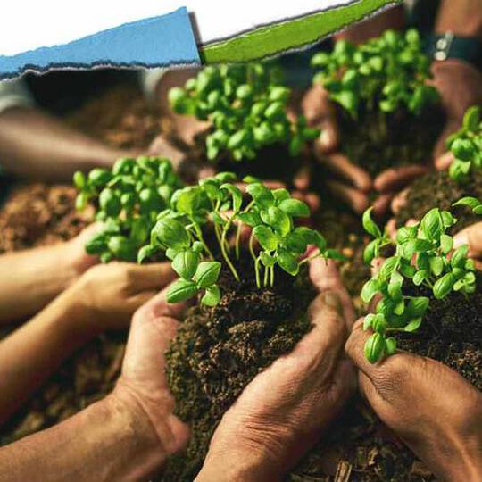 Olika hander håller små plantor i jord, vilket symboliserar samarbete i samhallet och ger naring åt tillvaxt.