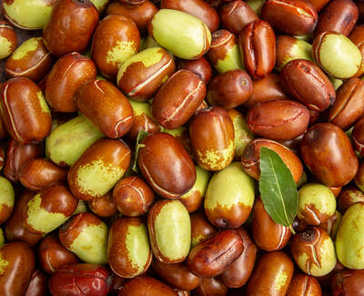 A close-up view of a pile of jujube fruits in various shades of brown and green, with a single green leaf among them.