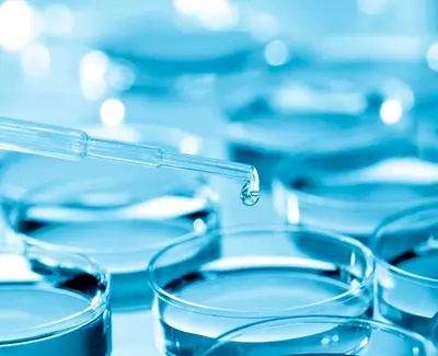 A pipette is poised above several petri dishes filled with a blue liquid, with a single droplet about to fall from the tip.