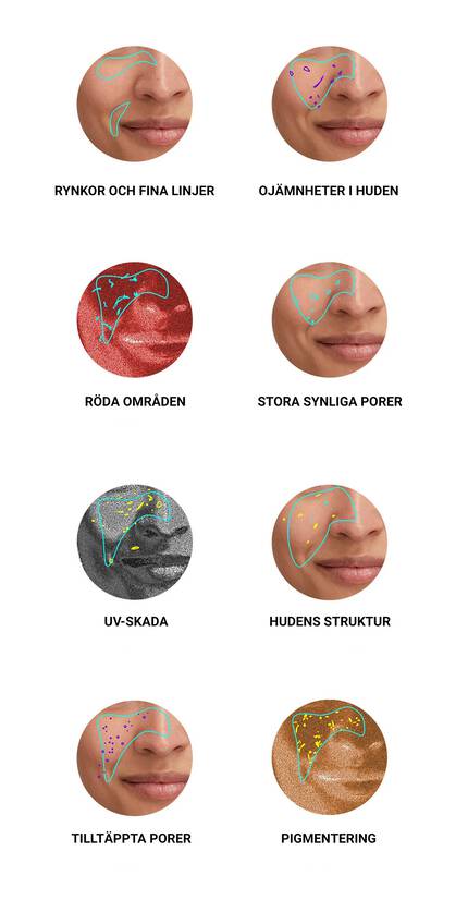 Illustration som visar olika hudproblem: rynkor och fina linjer, ojamnheter i huden, roda områden, stora synliga porer, UV-skada, hudens struktur, tilltappta porer och pigmentering.