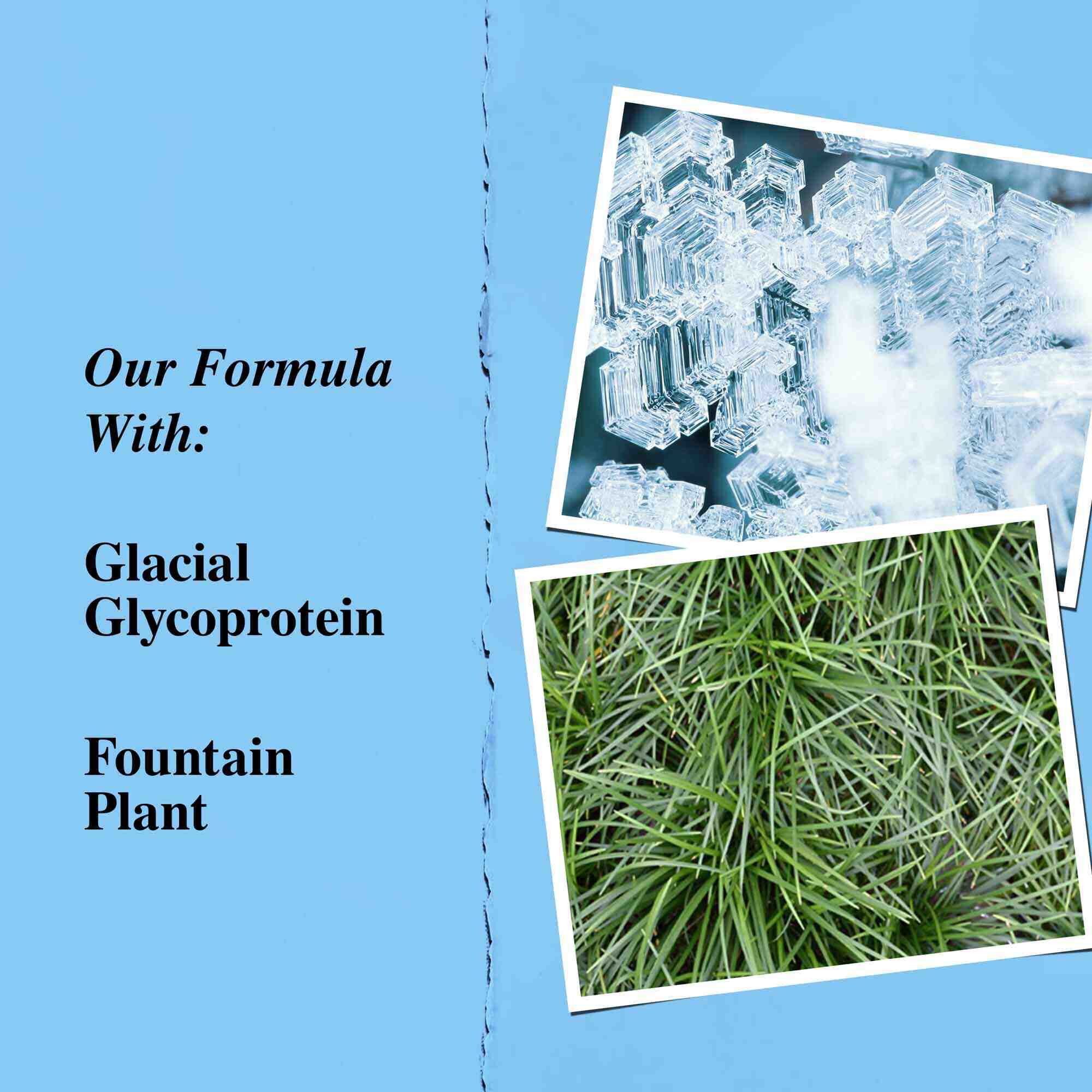 Grafik over nyckelingredienser: glaciarglykoprotein och ormskagg (fountain plant).