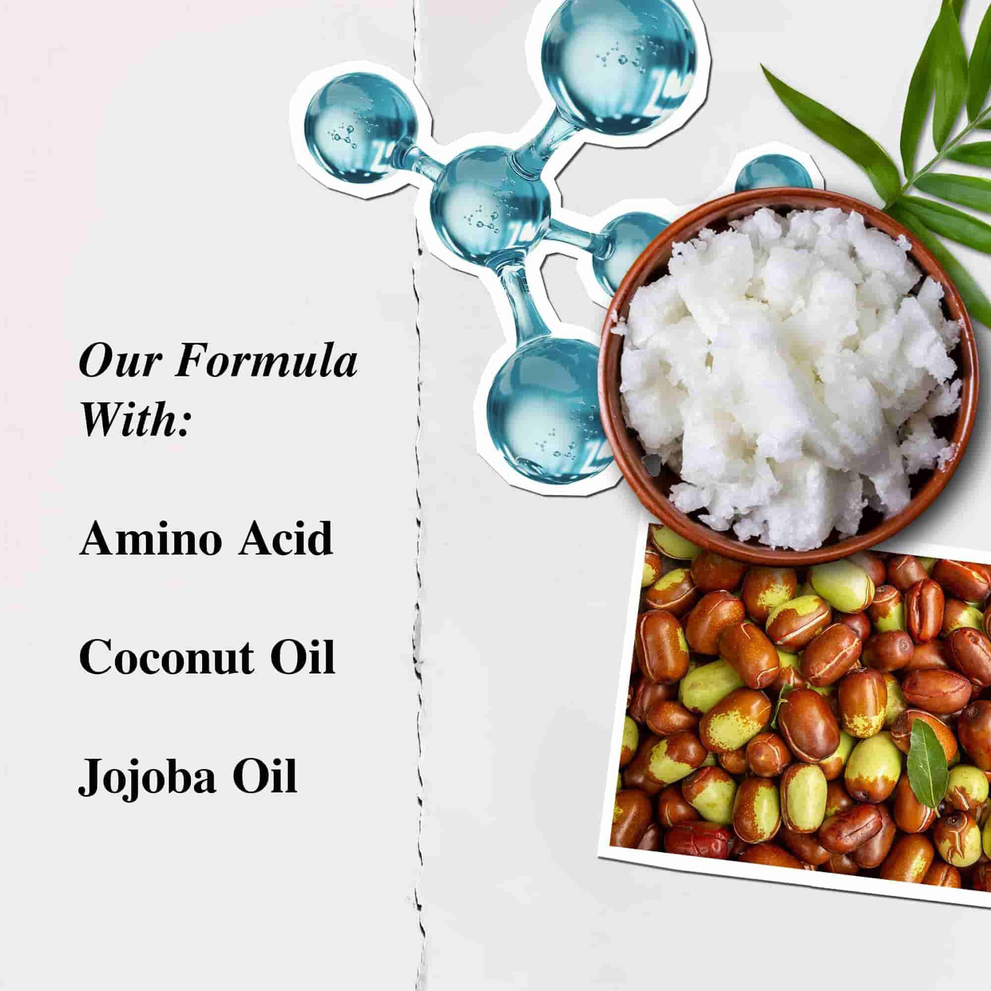 Kiehl's Amino Acid Conditioner ingrediensillustration – Aminosyra, kokosolja, jojobaolja